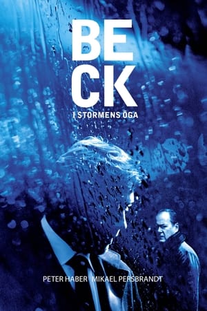 Poster Beck 25 - I stormens öga 2009