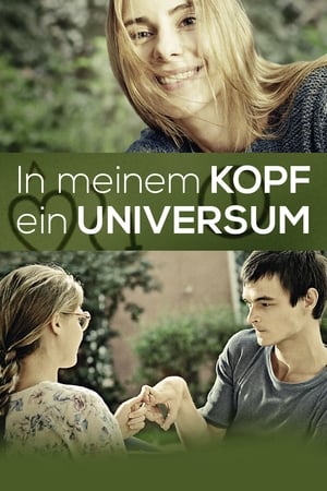 Poster In meinem Kopf ein Universum 2013