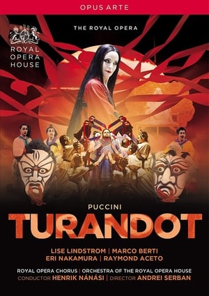 Turandot 2013