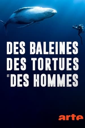 Télécharger Des baleines, des tortues et des hommes ou regarder en streaming Torrent magnet 