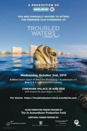 Image Troubled Waters: A Turtle's Tale