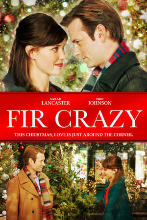 Poster Fir Crazy 2013