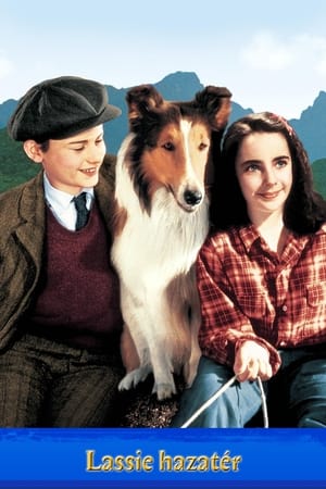 Image Lassie hazatér