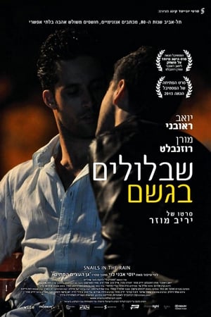 שבלולים בגשם 2013