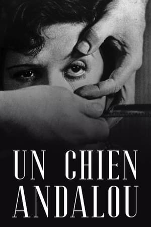 Télécharger Un chien andalou ou regarder en streaming Torrent magnet 