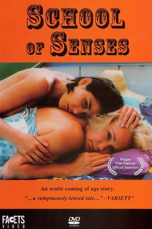 Image School of Senses