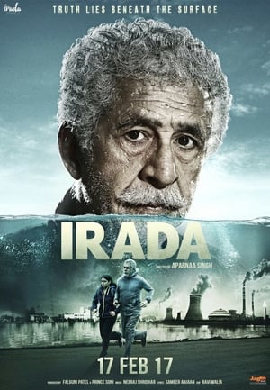 Poster Hedef / Irada 2017