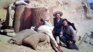 fotograma-2