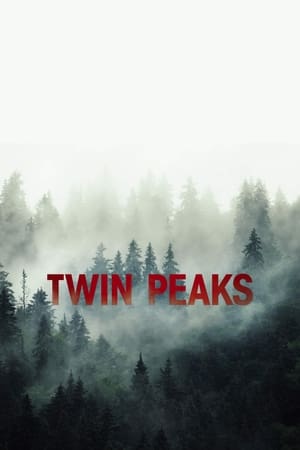 Poster Asesinato en Twin Peaks 1989