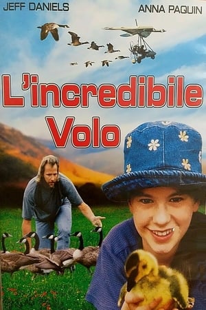 Poster L'incredibile volo 1996