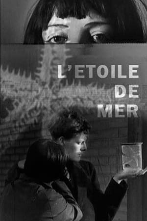 L'Étoile de mer 1928