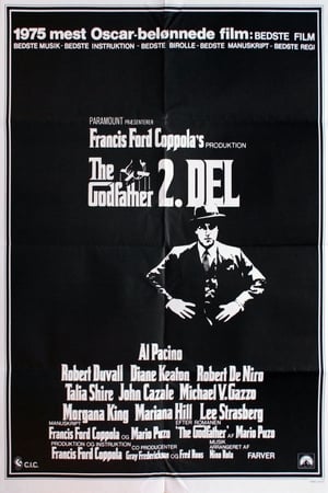 Poster The Godfather del 2 1974