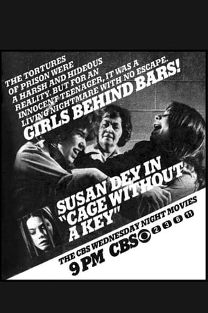 Poster Cage Without a Key 1975