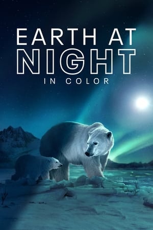 Image Earth at Night in Colour