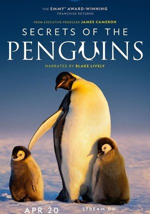 Secrets of the Penguins (2025)