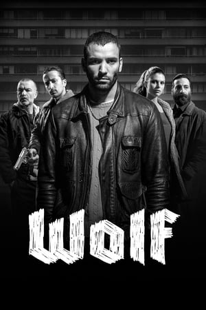 Poster Wolf 2013