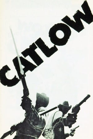 Poster Catlow 1971