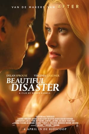 Image Beautiful Disaster