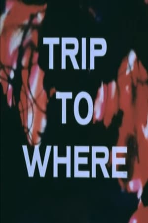 Télécharger LSD: Trip to Where? ou regarder en streaming Torrent magnet 