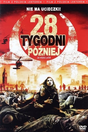 Poster 28 tygodni później 2007