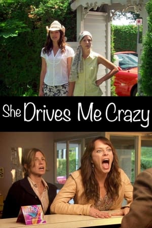 Poster She Drives Me Crazy 2007