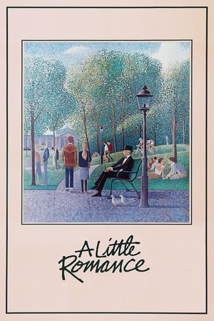 Poster პატარა რომანი 1979