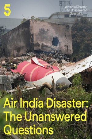 Air India Disaster: The Unanswered Questions (2025)