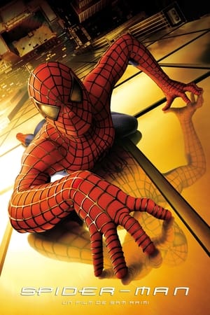 Poster Spider-Man 2002