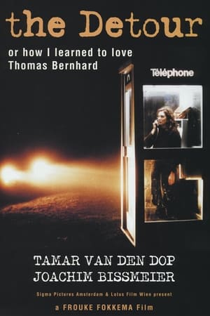 Poster the Detour 2000