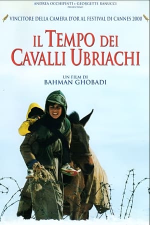 Poster Il tempo dei cavalli ubriachi 2000