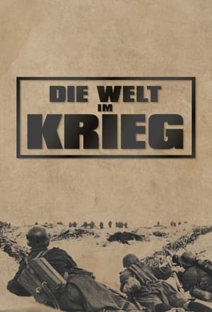 Image Die Welt im Krieg