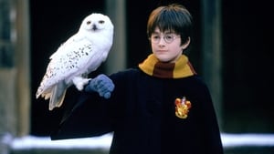 مشاهدة فيلم Harry Potter and the Sorcerer’s Stone 2001 مترجم