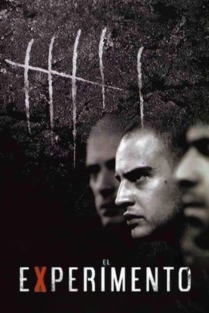 Poster El experimento 2001