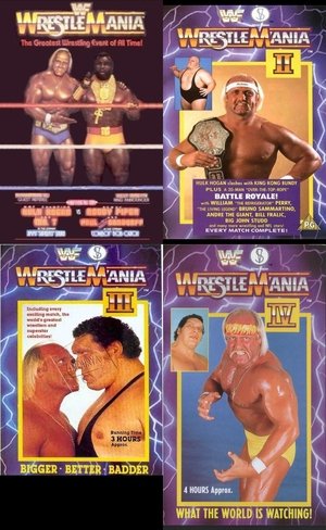 wwe-universe poster