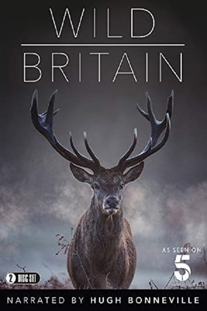 Image Wild Britain