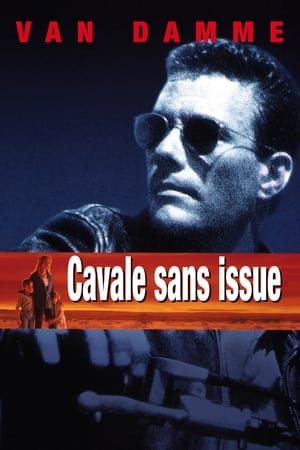 Poster Cavale sans issue 1993