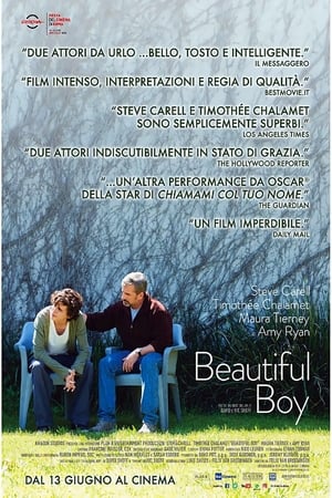 Poster Beautiful Boy 2018