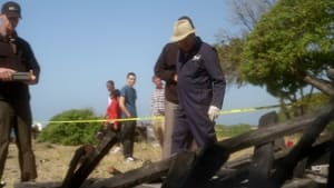 NCIS Season 7 :Episode 23  Patriot Down