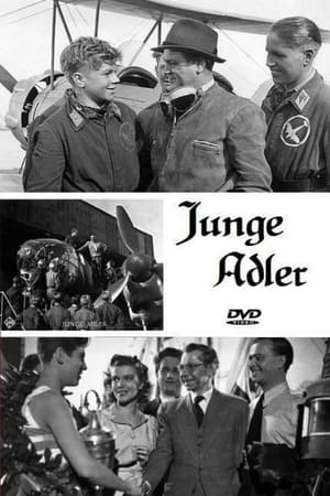 Image Junge Adler