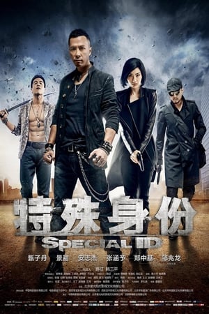 Poster 特殊身份 2013