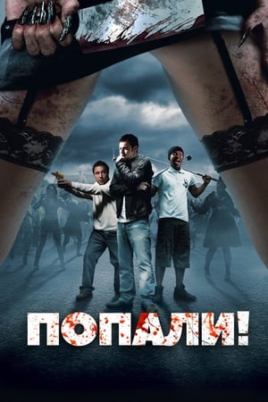 Poster Попали! 2009