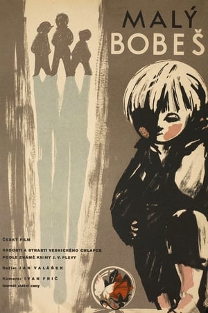 Poster Malý Bobeš 1962