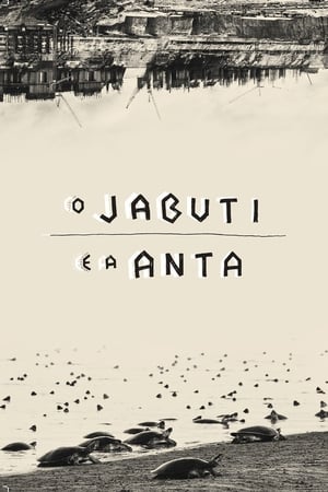 Image O Jabuti e a Anta