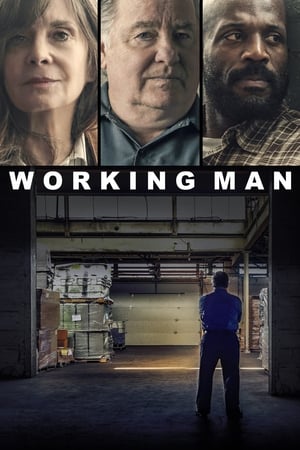 Poster Working Man 2019