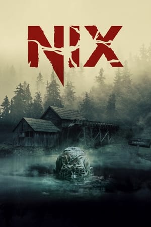 Poster Nix 2022