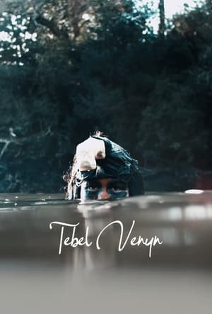 Image Tebel Venyn