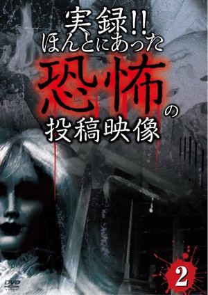 実録!!ほんとにあった恐怖の投稿映像 2 2012