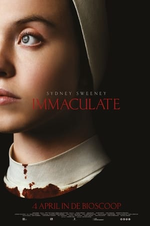 Poster Immaculate 2024