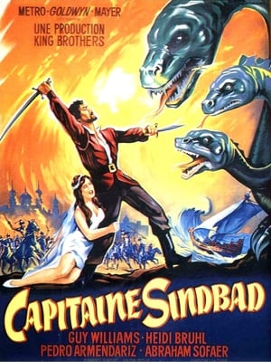 Image Capitaine Sindbad