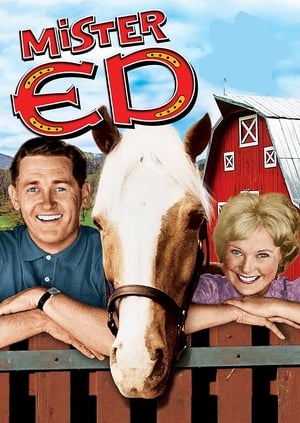 Mister Ed 1966